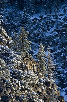 Early morning sun shines on ice and snow covered granite & pine trees at the top Early morning sun shines on ice and snow covered granite & pine trees at the top