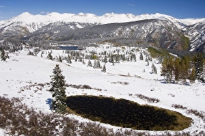 Early Snow at Molas Divide, Silverton, Rocky Mountains, Colorado, USA Early Snow at Molas Divide, Silverton, Rocky Mountains, Colorado, USA