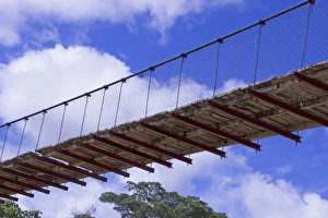 Ecuador, Amazon Rainforest, Curaray River. Paddling under a suspension bridge by Ecuador, Amazon Rainforest, Curaray River. Paddling under a suspension bridge by