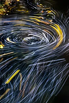 Eddy forms swirling patterns in the Nehalem River in autumn in the Tillamook State Forest, Oregon, USA Eddy forms swirling patterns in the Nehalem River in autumn in the Tillamook State Forest, Oregon, USA