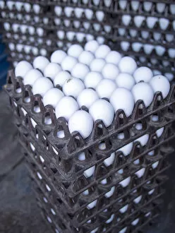 Images Dated 24th December 2012: Eggs get stacked in crates in Bangalore, Karnataka, India