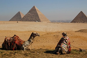 EGYPT, CAIRO. GIZA. GIZA PLATEAU. Two camels in front of three pyramids: (MYCERINUS EGYPT, CAIRO. GIZA. GIZA PLATEAU. Two camels in front of three pyramids: (MYCERINUS