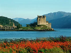 Images Dated 12th May 2011: Eilean Donan Castle, Highlands, Scotland