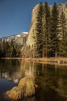 El Capitan reflection in Merced River. Yosemite, California, US El Capitan reflection in Merced River. Yosemite, California, US
