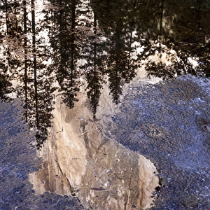 El Capitan rock face reflection in Icy water. Yosemite, California, US El Capitan rock face reflection in Icy water. Yosemite, California, US