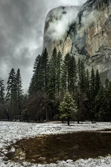 Images Dated 27th February 2010: El Capitan seen from the valley meadows. Yosemite, California, US
