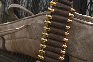 Elephant capture security weapon, used during an elephant relocation event, Zimbabwe Elephant capture security weapon, used during an elephant relocation event, Zimbabwe