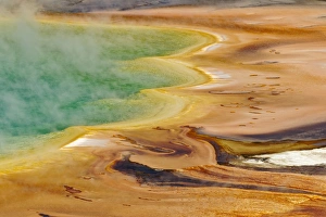 Elevated view of Grand Prismatic Spring and patterns in bacterial mat, Midway Geyser Basin Elevated view of Grand Prismatic Spring and patterns in bacterial mat, Midway Geyser Basin