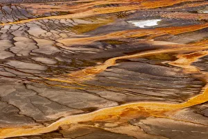 Elevated view of patterns in bacterial mat around Grand Prismatic spring, Midway Geyser Basin Elevated view of patterns in bacterial mat around Grand Prismatic spring, Midway Geyser Basin