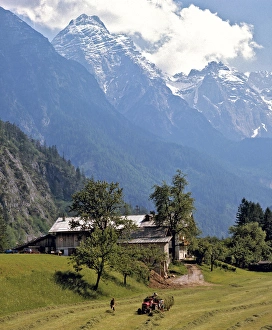 Europe, Austria, Inn River Valley. The Tuxer Alps look down on this haying scene Europe, Austria, Inn River Valley. The Tuxer Alps look down on this haying scene