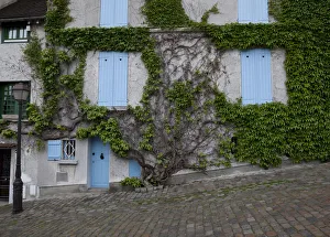 Europe, France, Paris. Ivy-covered wall of a building. Credit as: Bill Young / Jaynes Europe, France, Paris. Ivy-covered wall of a building. Credit as: Bill Young / Jaynes