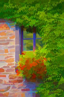 Europe, France, Provence. Abstract of window with flowers Europe, France, Provence. Abstract of window with flowers