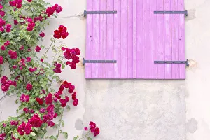 Europe, France, Provence. Colorful house facade Europe, France, Provence. Colorful house facade