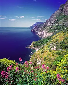 Amalfi Drive Print, colorful wildflowers along Italys Costiera Amalfitana