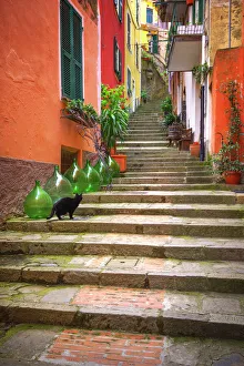Jim Nilsen Gallery: Europe, Italy, Monterosso. Cat on long stairway