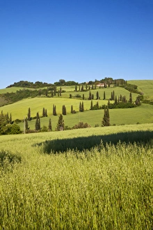 Europe; Italy; Tuscany; Famous Zig-Zag Road through the Hillside of Tuscany Europe; Italy; Tuscany; Famous Zig-Zag Road through the Hillside of Tuscany