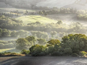 Images Dated 7th November 2013: Europe; Italy; Tuscany; Morning light over the fields of Winter Wheat above the Tuscan
