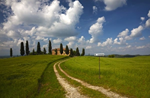 Europe; Italy; Tuscany; Pienza; Road Leading to Villa with Wheat Fields Europe; Italy; Tuscany; Pienza; Road Leading to Villa with Wheat Fields