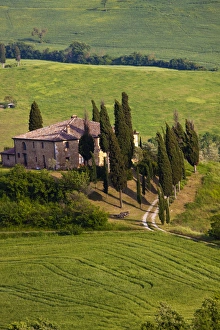 Europe; Italy; Tuscany; Spring Wheat Around The Bellvedere House Southern Tuscany Europe; Italy; Tuscany; Spring Wheat Around The Bellvedere House Southern Tuscany