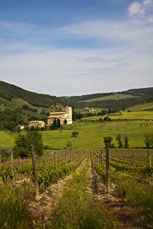 Europe; Italy; Tuscany; Vineyards leading to Sant Antimo Abbey With Fresh Green Europe; Italy; Tuscany; Vineyards leading to Sant Antimo Abbey With Fresh Green