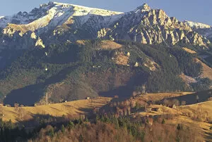 Images Dated 31st January 2005: Europe, Romania, Carpatian, Mt. Bocegi