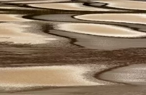 Images Dated 14th September 2005: Europe, scotland, Applecross Peninsula, abstract of tidal flat