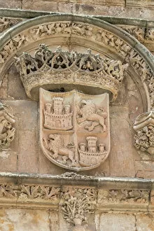 Closeup Collection: Europe, Spain, Salamanca, relief sculpture of crest on university wall