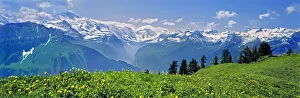 Europe, Switzerland, Schniggeplatte. The Schniggeplatte offers one of the best views of the peaks Europe, Switzerland, Schniggeplatte. The Schniggeplatte offers one of the best views of the peaks