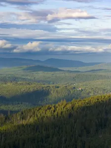 Mt. Lusen National Park Bavarian Forest Print