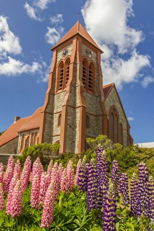 Falkland Islands, East Falkland, Stanley. Christ Church Cathedral and lupine flowers Falkland Islands, East Falkland, Stanley. Christ Church Cathedral and lupine flowers