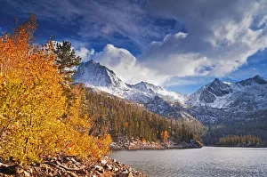 Fall aspens under Sierra peaks from South Lake, John Muir Wilderness, Sierra Nevada Mountains Fall aspens under Sierra peaks from South Lake, John Muir Wilderness, Sierra Nevada Mountains