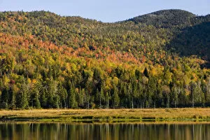 Fall at Big Brook Bog in Pittsburgh, New Hampshire
