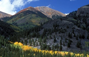 Fall color at base of Red Mountain in Colorado Fall color at base of Red Mountain in Colorado