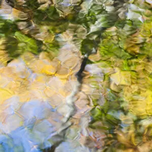 Images Dated 19th October 2008: Fall colors reflect in the rippled waters of a pond, looking like a painting