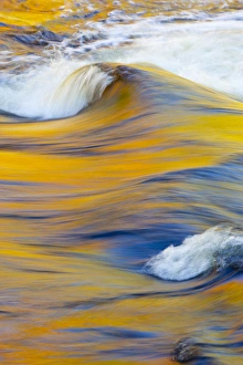 Fall colors reflected in the Swift River in New Hampshires White Mountain National Fall colors reflected in the Swift River in New Hampshires White Mountain National
