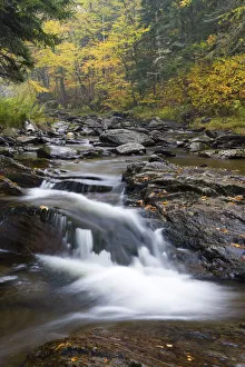 Fall along the East Branch of Indian Stream in Pittsburgh, New Hampshire Fall along the East Branch of Indian Stream in Pittsburgh, New Hampshire