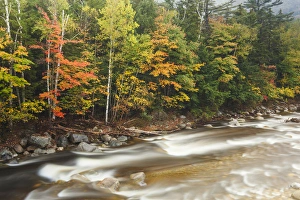 Fall foliage along the East Branch of the Pemigewasset River in New Hampshire's Fall foliage along the East Branch of the Pemigewasset River in New Hampshire's