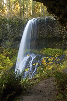 Fall Foliage, Lower South Falls, Silver Falls State Park, Oregon Fall Foliage, Lower South Falls, Silver Falls State Park, Oregon