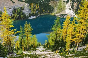 Fall larch trees and hikers on trail above Lake Agness, Banff National Park, Alberta Fall larch trees and hikers on trail above Lake Agness, Banff National Park, Alberta