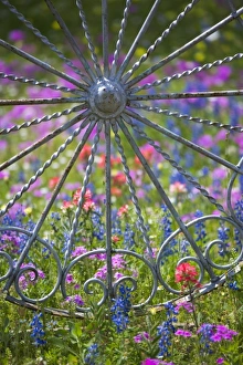 Fancy wheel Gate and fence with backdrop of Texas Wildflowers, Blue Bonnets, Indian Paint Brush Fancy wheel Gate and fence with backdrop of Texas Wildflowers, Blue Bonnets, Indian Paint Brush