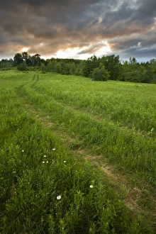 A farm road in Sabins Pasture in Montpelier, Vermont A farm road in Sabins Pasture in Montpelier, Vermont