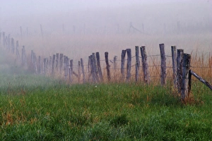 Fence across foggy meadow Cades Cove Great Smoky Mountains N.P. TN Fence across foggy meadow Cades Cove Great Smoky Mountains N.P. TN