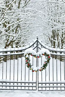 Fence line and fresh snow with trees line lane and metal gate with Christmas wreath Fence line and fresh snow with trees line lane and metal gate with Christmas wreath