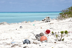 Fifty tons of plastic arrive at Midway each year brought by circular currents, known Fifty tons of plastic arrive at Midway each year brought by circular currents, known