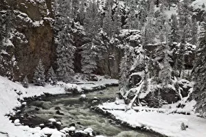 Images Dated 16th January 2010: Firehole River Canyon in winter in Yellowstone National Park