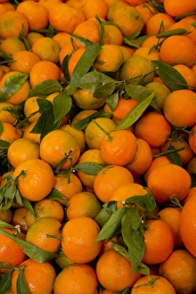 Fish Market tangerines on display for sale, Venice Italy Fish Market tangerines on display for sale, Venice Italy