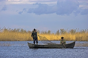 Fishermen bring in their harvest of fish during early spring in the Danube Delta, Romania Fishermen bring in their harvest of fish during early spring in the Danube Delta, Romania