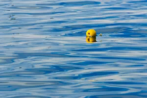 Images Dated 10th September 2018: Floating buoy in the ocean, Van Dyks Bay. Western Cape Province, South Africa