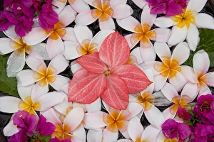 Floral decoration, Palau Pangkor Laut, Malaysia Floral decoration, Palau Pangkor Laut, Malaysia