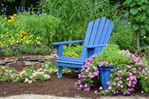 Chair Gallery: Flower garden with blue Adirondack chair, Butterfly Bushes, Peach & Purple Verbenas